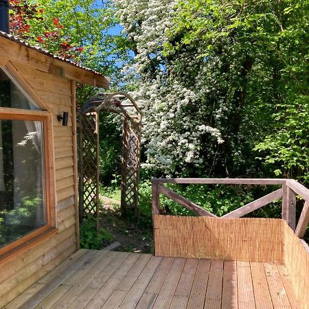 Honey Bee Cabin Llandysul Экстерьер фото