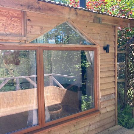 Honey Bee Cabin Llandysul Экстерьер фото