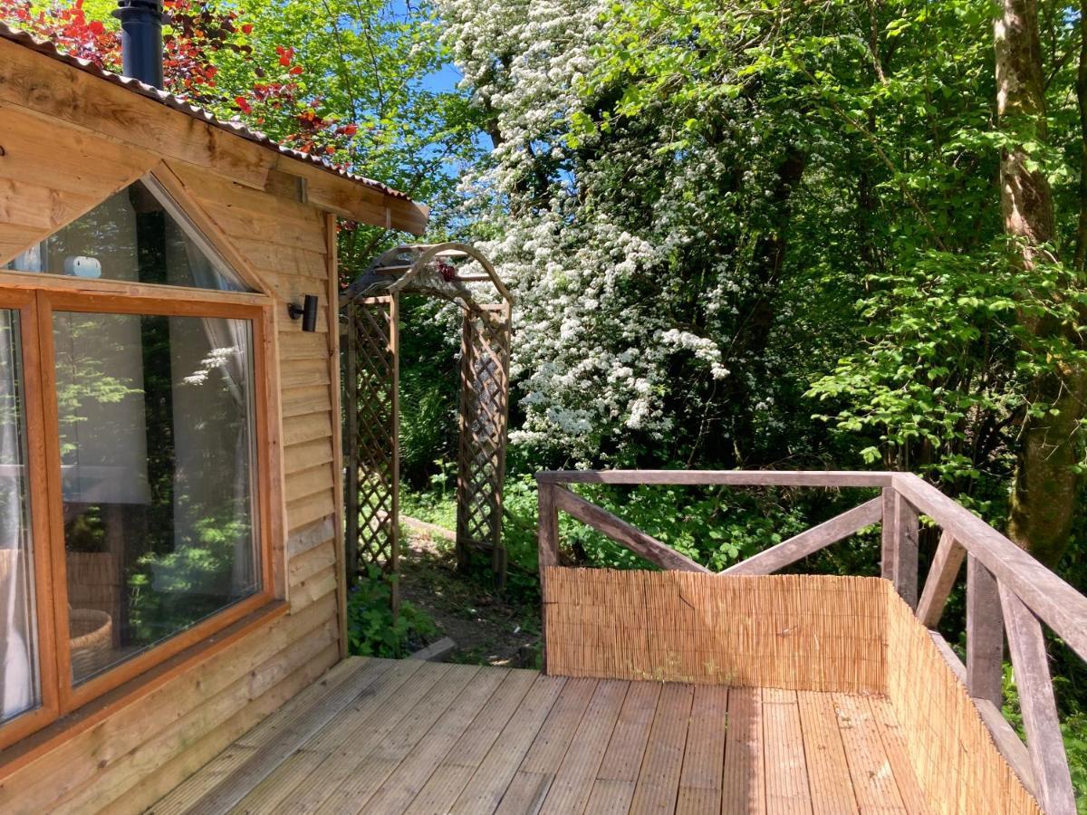Honey Bee Cabin Llandysul Экстерьер фото