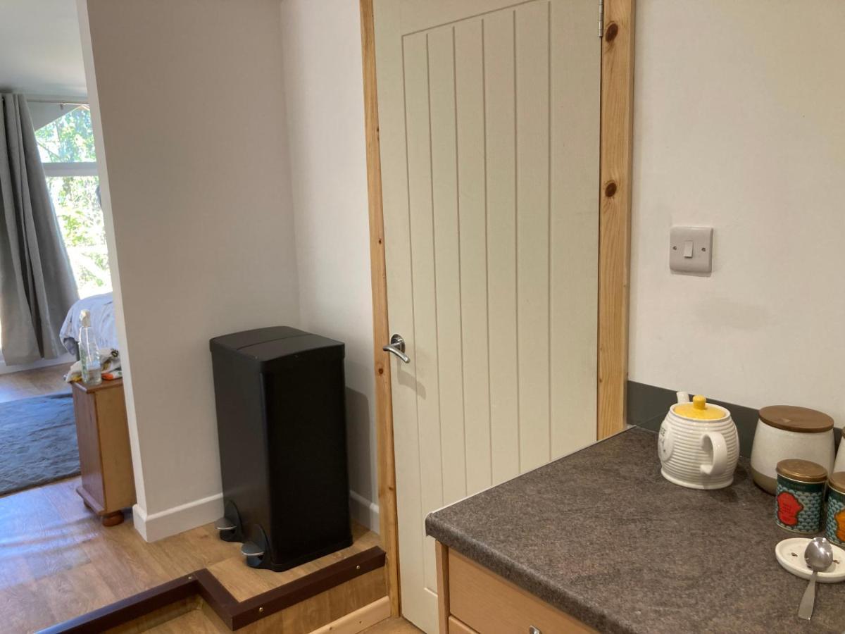 Honey Bee Cabin Llandysul Экстерьер фото