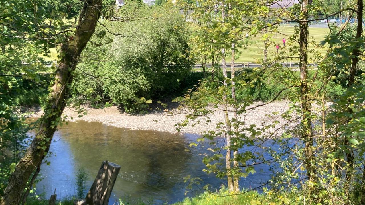 Honey Bee Cabin Llandysul Экстерьер фото
